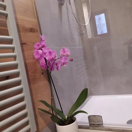 Samgiuvino Casa de Férias Brienno